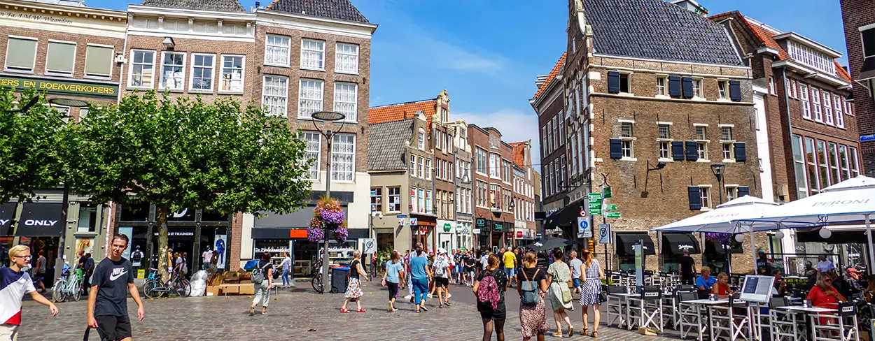Werkgebied Zwolle - daken aan de IJsseldelta
